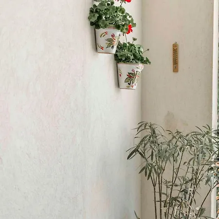 Nyaraló Le Riviera 3 Bed Maxime Sainte-Maxime